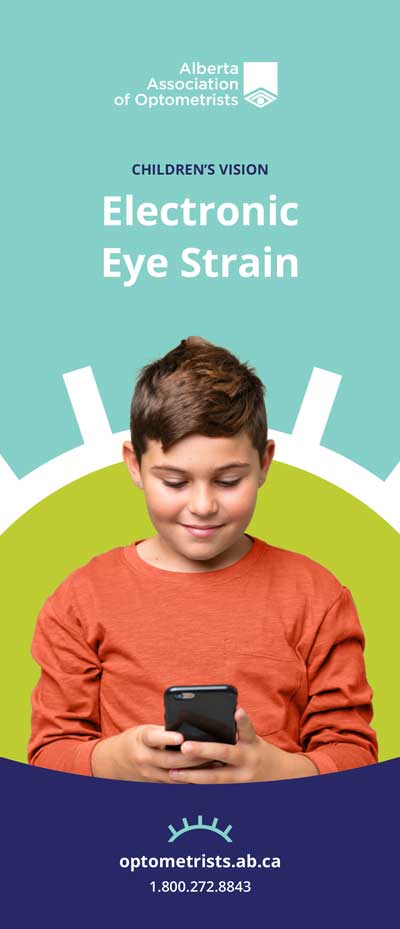 Children's Vision & Electronics brochure