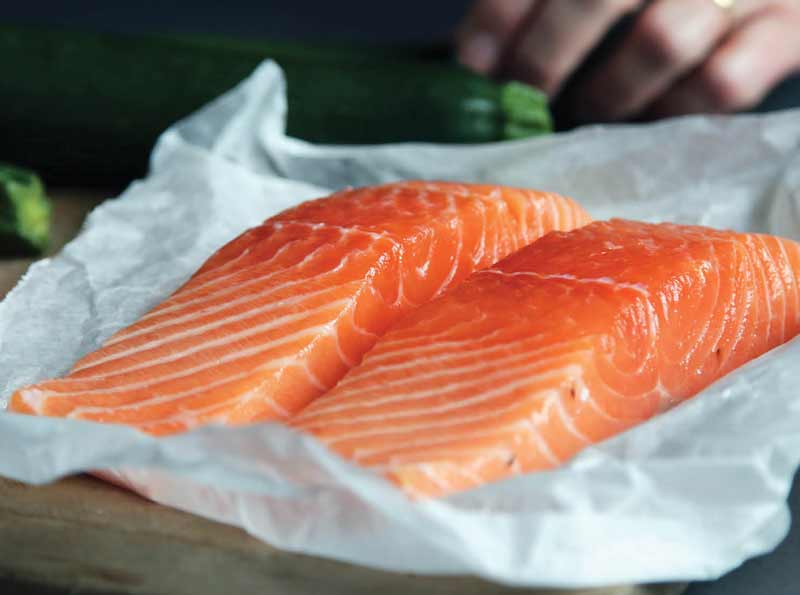 Fish