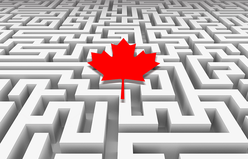 A maple leaf hovering over a maze